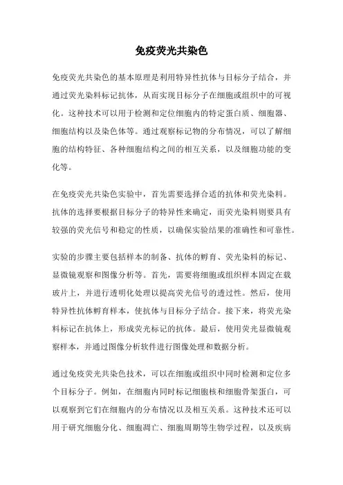 免疫荧光共染色