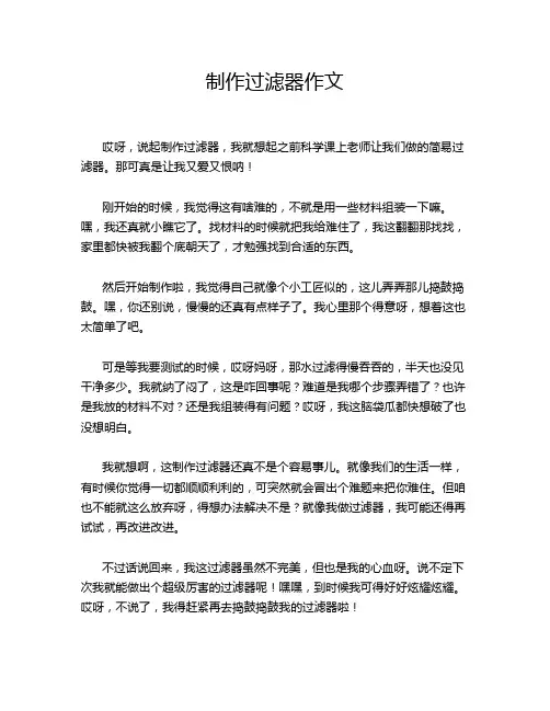 制作过滤器作文
