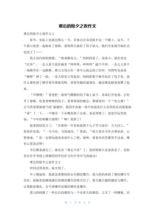 难忘的除夕之夜作文