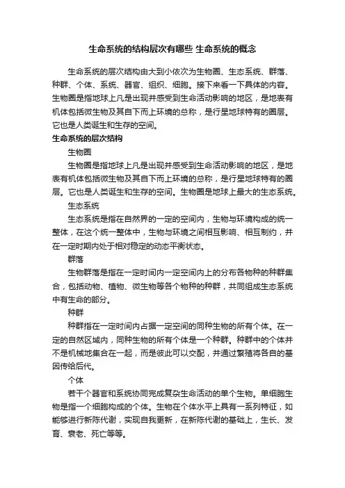 生命系统的结构层次有哪些生命系统的概念