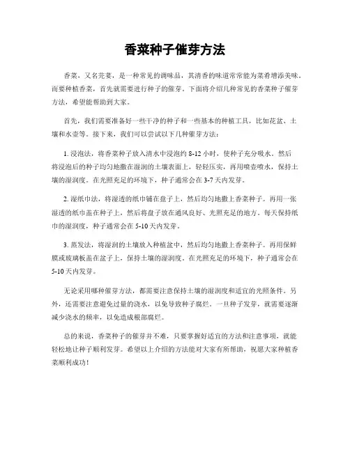 香菜种子催芽方法