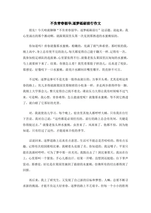 不负青春韶华,逐梦砥砺前行作文