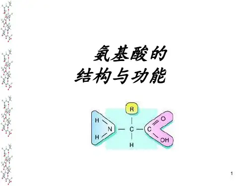 氨基酸PPT幻灯片课件
