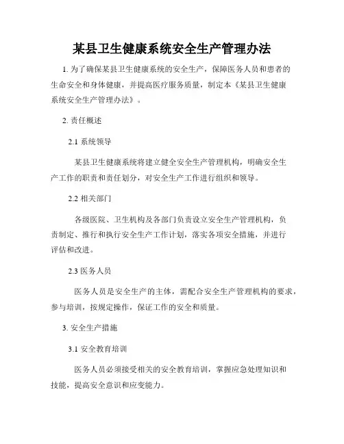 某县卫生健康系统安全生产管理办法