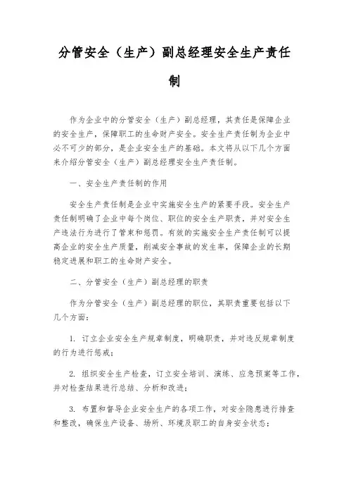 分管安全(生产)副总经理安全生产责任制