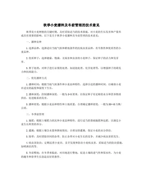 秋季小麦播种及冬前管理的技术意见