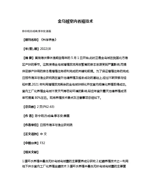 金乌贼室内养殖技术