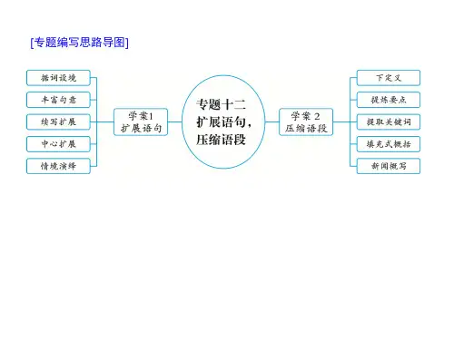 新高考语文第三部分专 扩展语句,压缩语段 课件—2021年高考语文考点重点突破复习(共29张PPT)