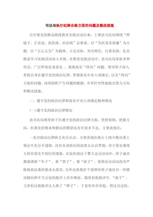 司法局执行纪律合格方面的问题及整改措施