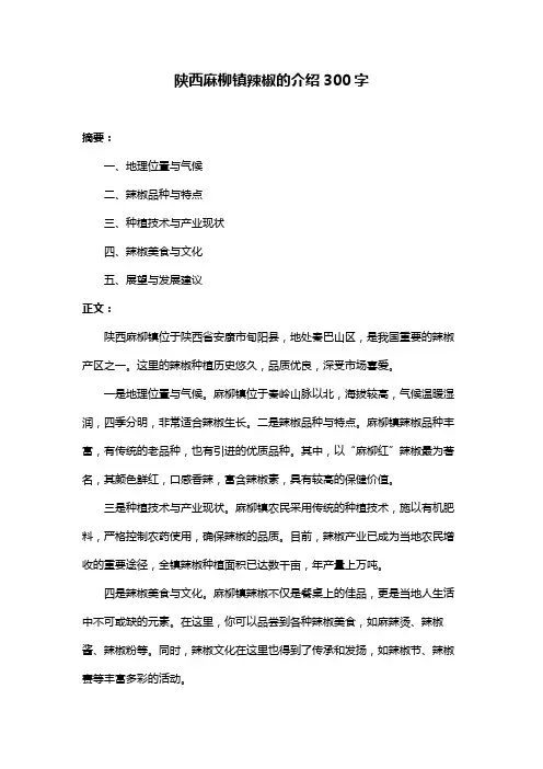 陕西麻柳镇辣椒的介绍300字