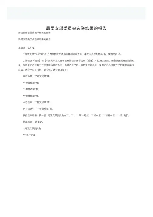 局团支部委员会选举结果的报告