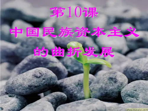 第10课中国近代民族工业的发展(官僚资本主义)