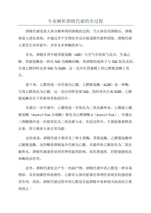 专业解析酒精代谢的全过程