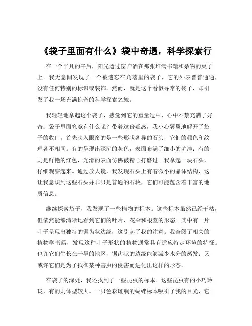《袋子里面有什么》袋中奇遇,科学探索行