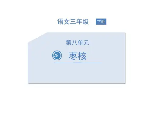 部编版三年级下册语文《枣核》PPT优质课件