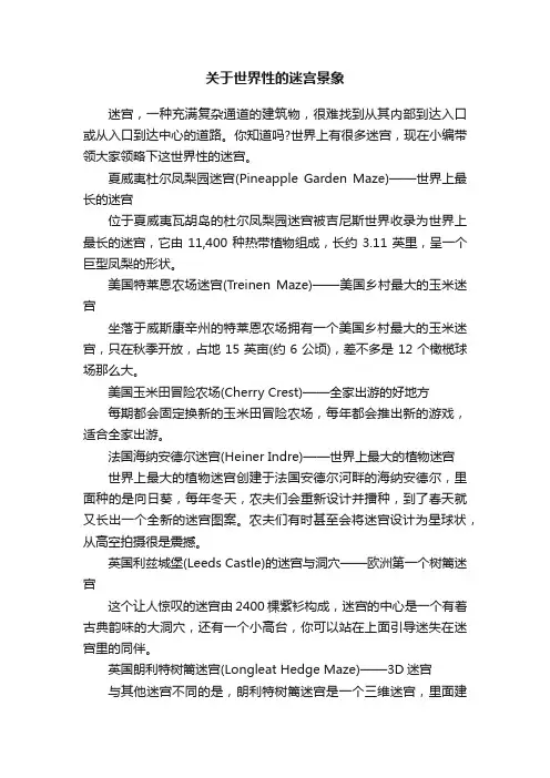 关于世界性的迷宫景象