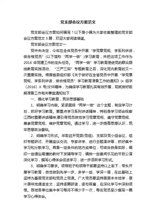 党支部会议方案范文