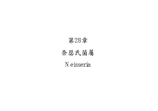 奈瑟氏菌属