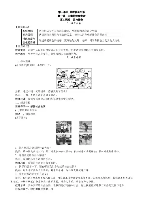 初中道德与法治人教八年级上册 走进社会生活丰富的社会生活教案