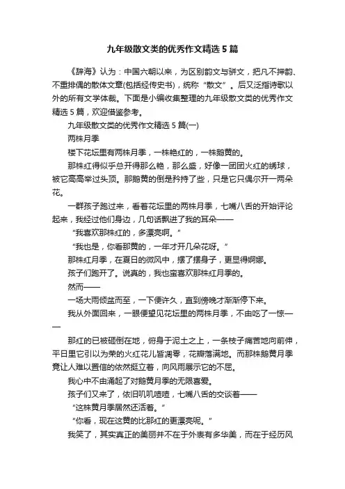 九年级散文类的优秀作文精选5篇