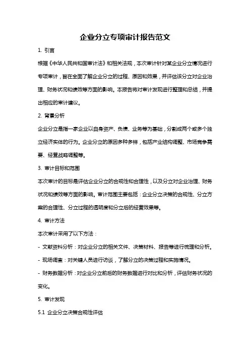 企业分立专项审计报告范文