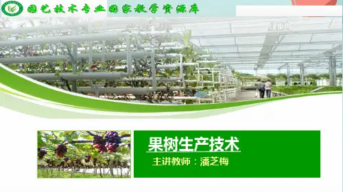 学习情景二、梨生物学特性PPT资料优选版