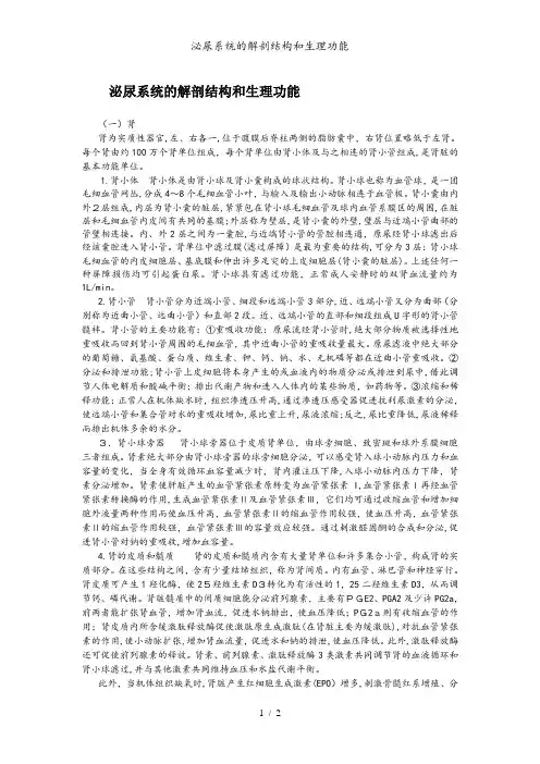 泌尿系统的解剖结构和生理功能