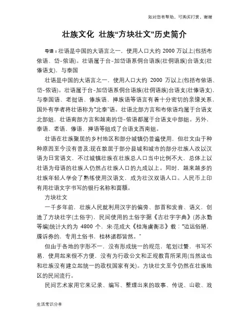 壮族文化 壮族“方块壮文”历史简介