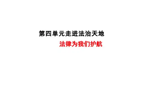 10.1 法律为我们护航 课件(16张PPT)-2023-2024学年统编版道德与法治七年级下册 