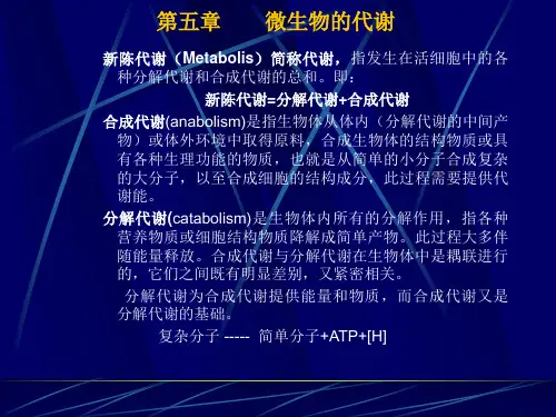 第五章 微生物的代谢