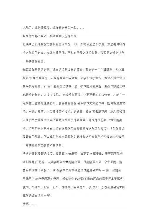 唐墓壁画1000字作文。
