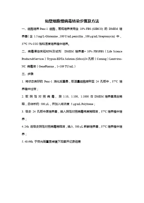 贴壁细胞慢病毒转染步骤及方法