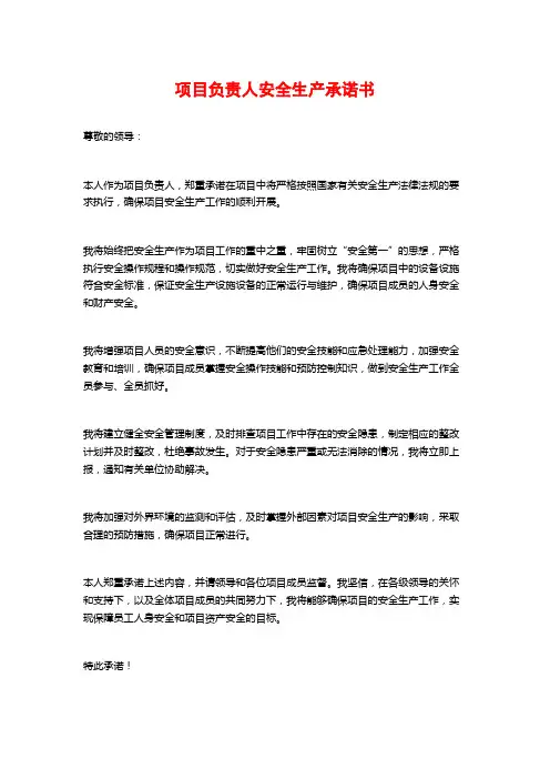 项目负责人安全生产承诺书
