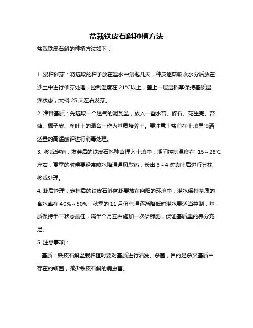 盆栽铁皮石斛种植方法