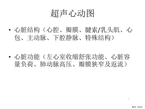心脏常用检查结果解读PPT参考幻灯片课件PPT60页