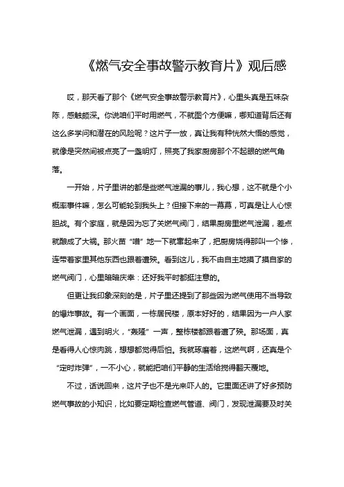 《燃气安全事故警示教育片》观后感