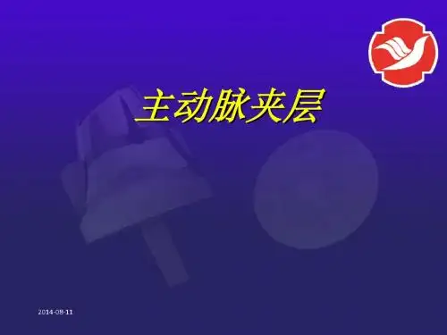 主动脉夹层讲座PPT课件