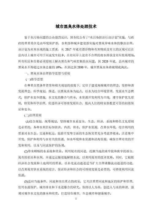 城市黑臭水体处理技术