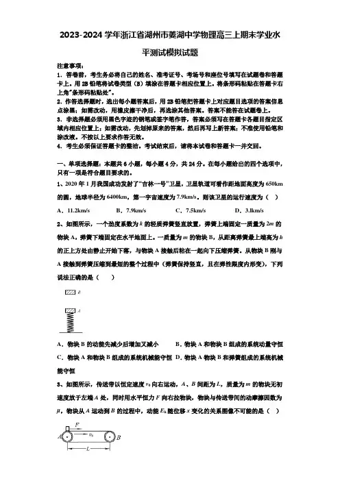 2023-2024学年浙江省湖州市菱湖中学物理高三上期末学业水平测试模拟试题含解析