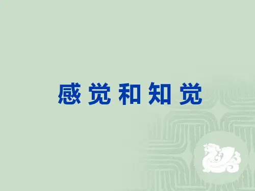 感觉和知觉