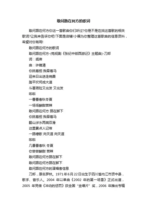 敢问路在何方的歌词