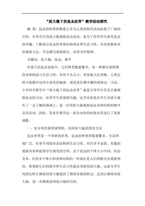 “放大镜下昆虫世界”教学活动