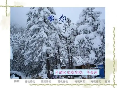 小学二年级上学期语文《青松》优秀PPT课件