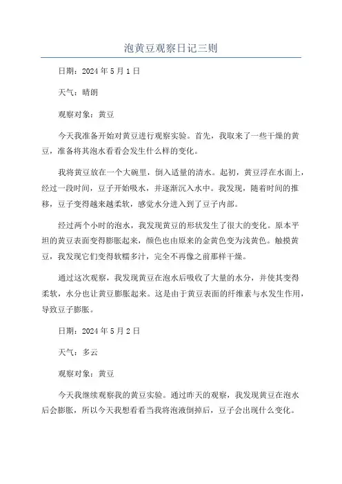 泡黄豆观察日记三则