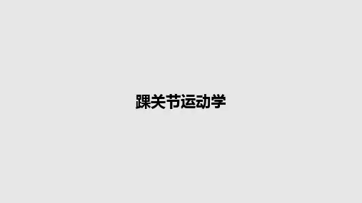 踝关节运动学PPT教案