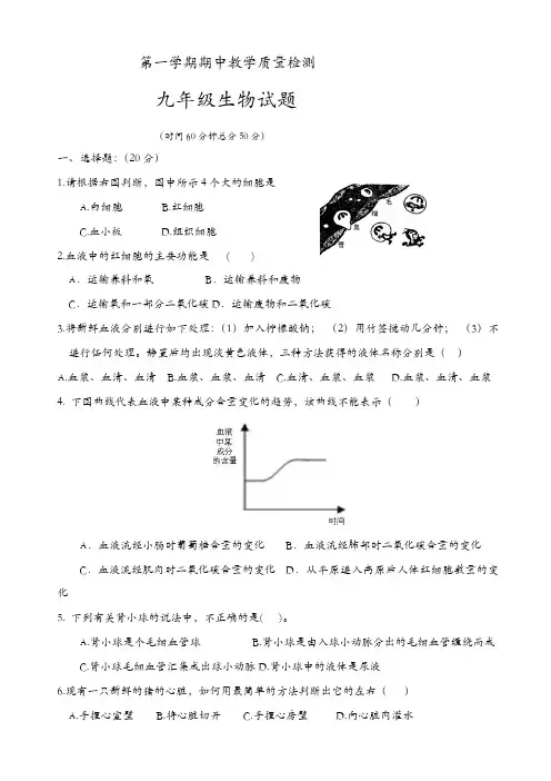 山东省夏津县九年级上学期期中教学质量检测考试生物试题(有答案)[精品]