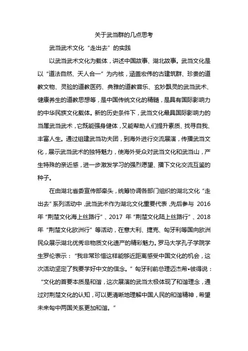 关于武当群的几点思考