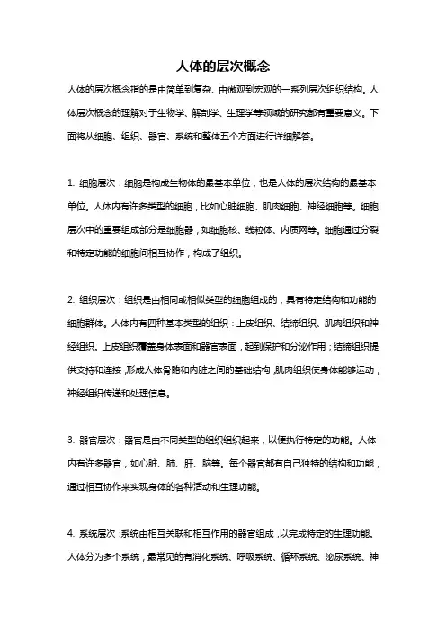 人体的层次概念