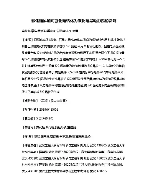 碳化硅添加对氮化硅转化为碳化硅晶粒形貌的影响