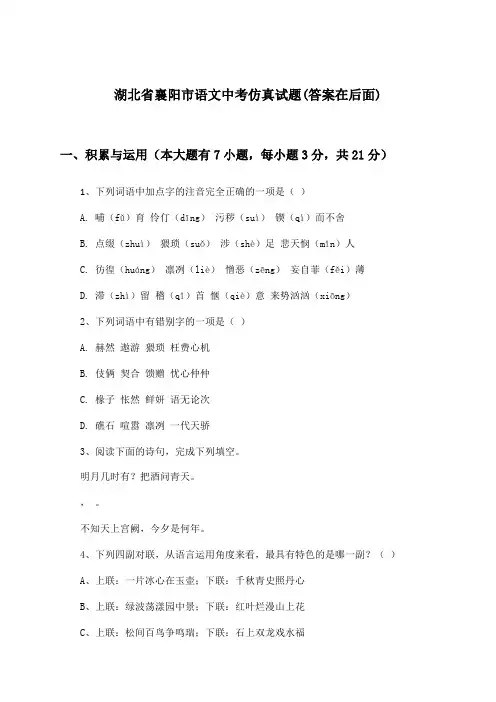 湖北省襄阳市语文中考试题及解答参考
